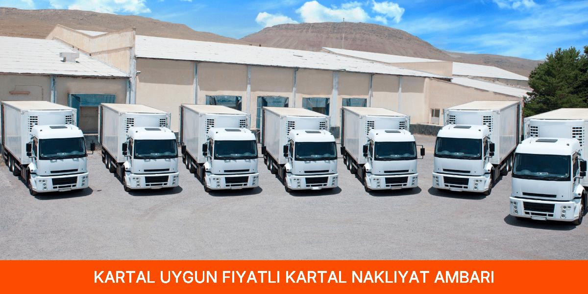 Uygun Fiyatlı Kartal Nakliyat Ambarı